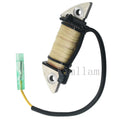 Stator Coil for Tohatsu Outboard M3.5B2/M3.5A2/M2.5A