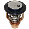 Thermostat for Yamaha F175-F200 2012-Up