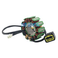 Stator Coil for TM Racing MX250 EN250 4Temps 2010-2018/MX300 EN300 4Temps 2017-2019