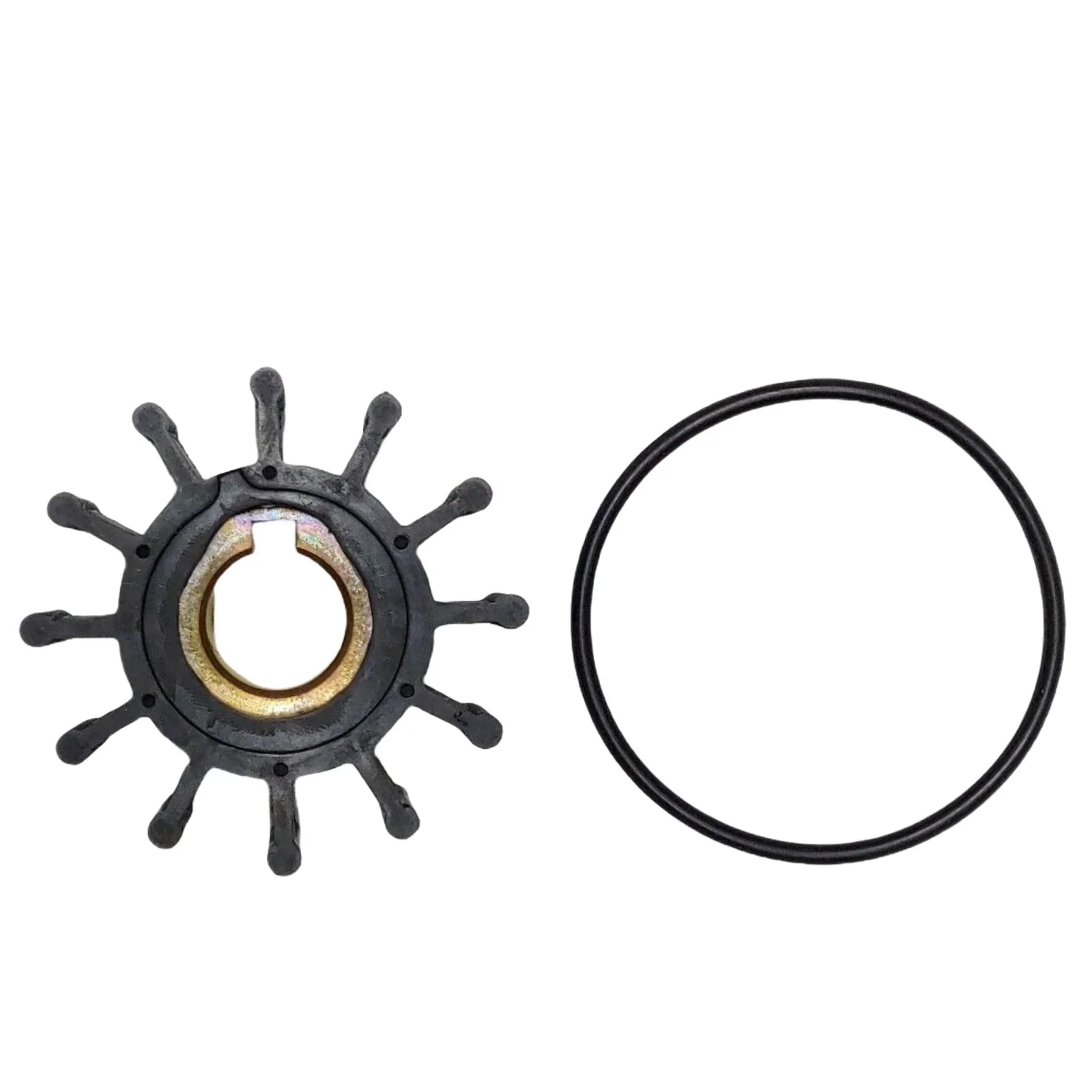 Impeller Repair Kit for Oberdorfer Pump V1903-BGE/V2203