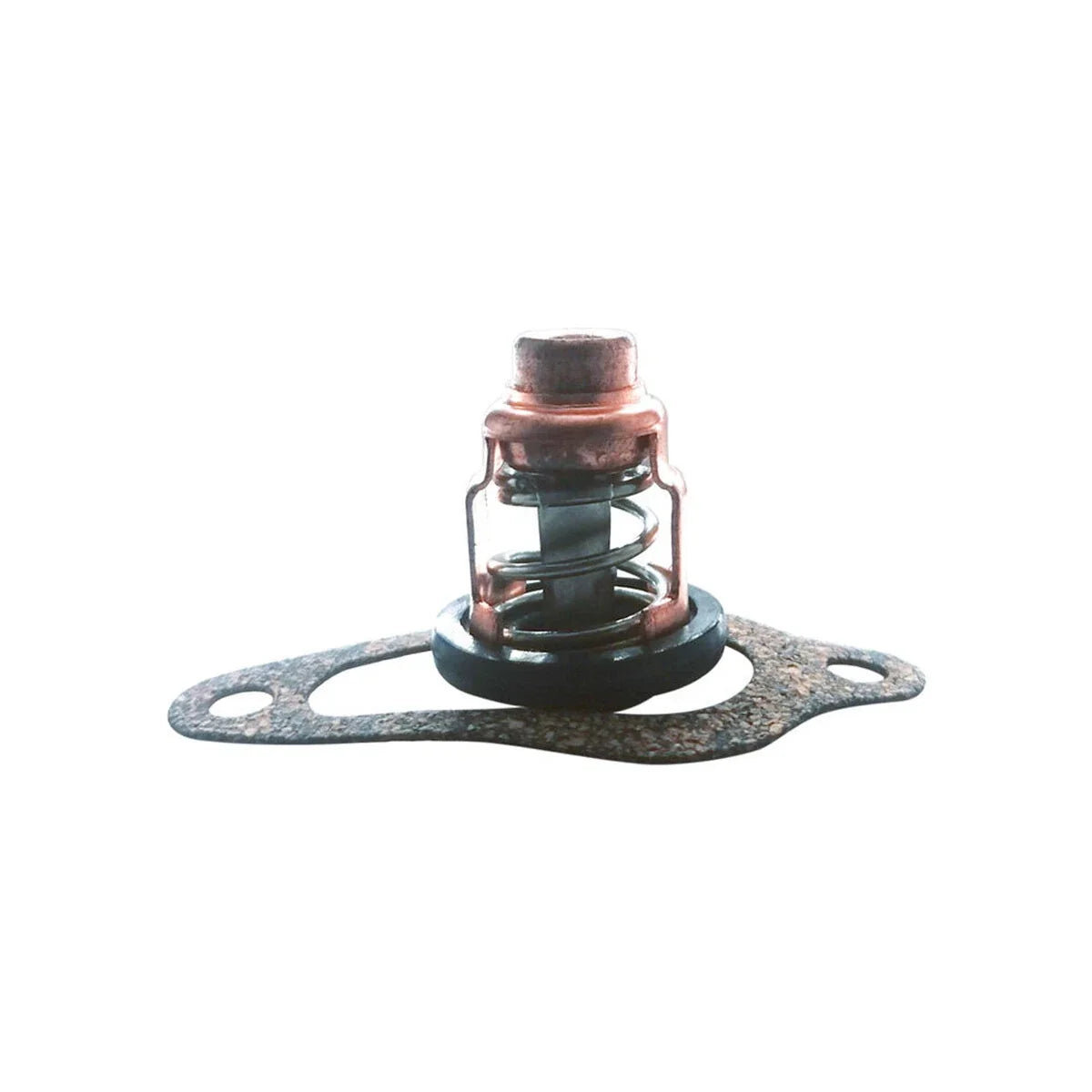 Thermostat Kit for Nissan Tohatsu 8-30HP Motors (3NV Series)