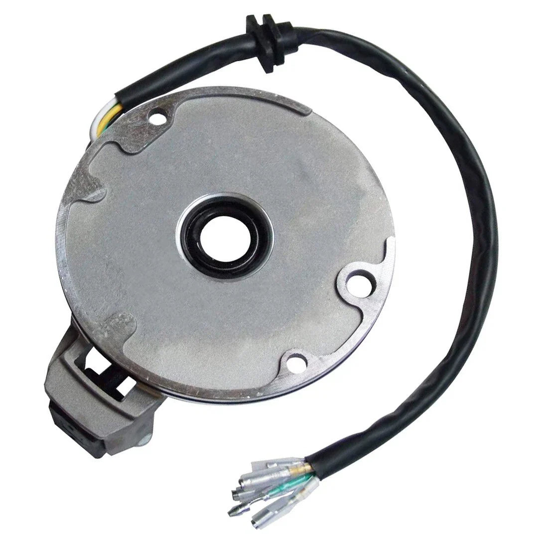 70cc Stator for Taotao Kazuma/Sunl/JCL Magneto Coil
